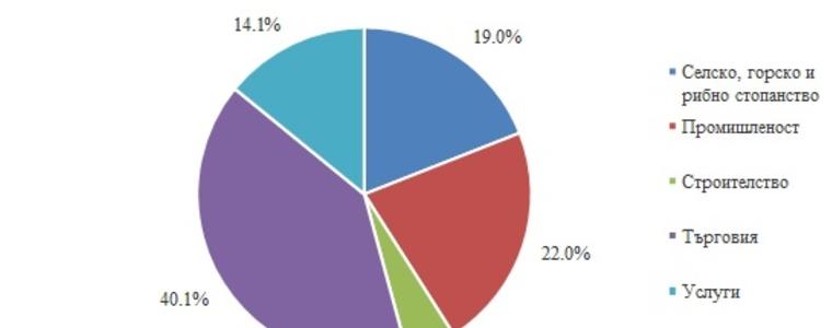 Над 55% от активните фирми в областта са в град Добрич