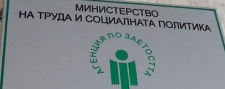 От Агенцията по заетостта обясняват с какви мотиви отказват обезщетения