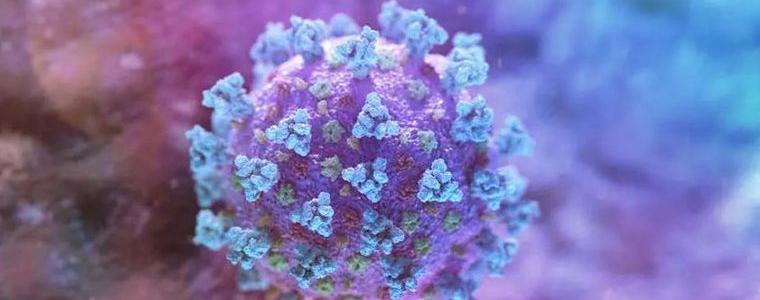 СЗО: Смъртността от коронавируса се е понижила с 20% през изминалата седмица