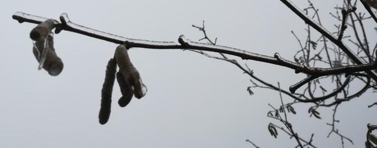 Времето на 14 февруари