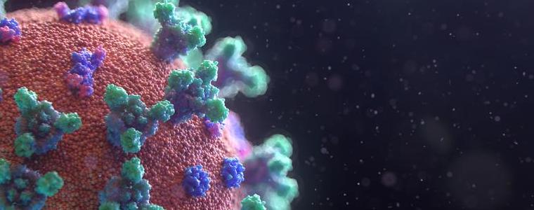 65 новоустановени случаи на коронавирус в област Добрич