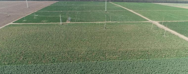 Двойно е намаляла земеделската площ за отглеждане на зеленчуци