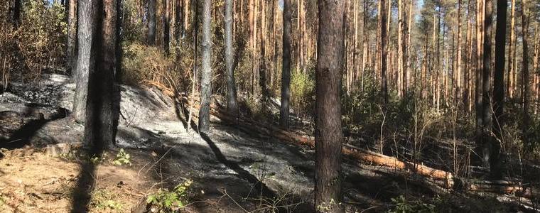 Ловните и горските стопанства в област Добрич са готови за новия пожароопасен сезон