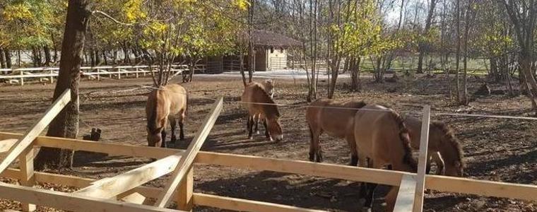 Практика на Зооцентъра в Добрич – в сборник на Института по публична администрация 