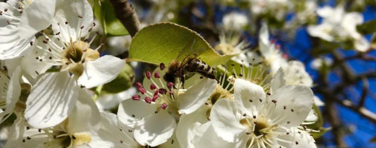 Прогноза за времето в четвъртък - 1 април