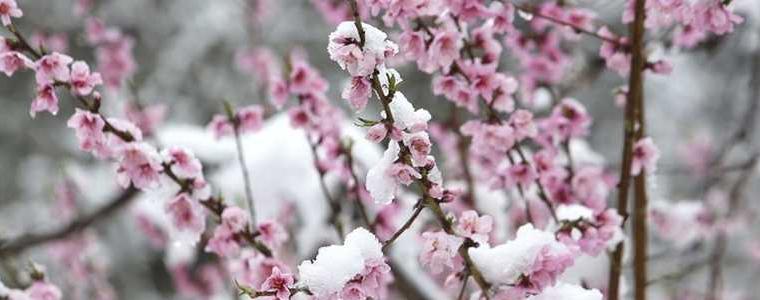 Прогноза за времето в понеделник, 22 март