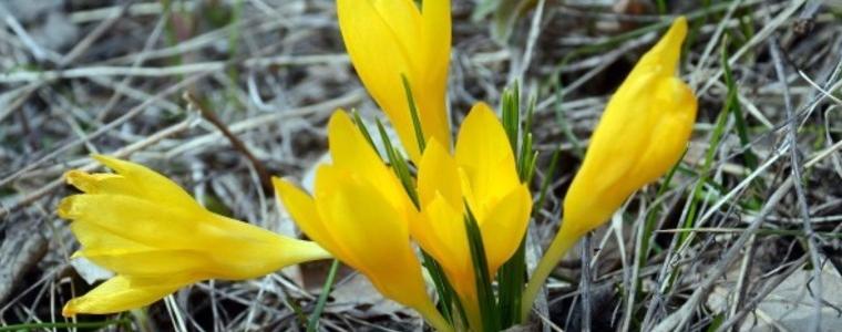 Прогноза за времето в понеделник