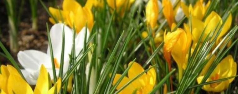 Прогноза за времето в събота