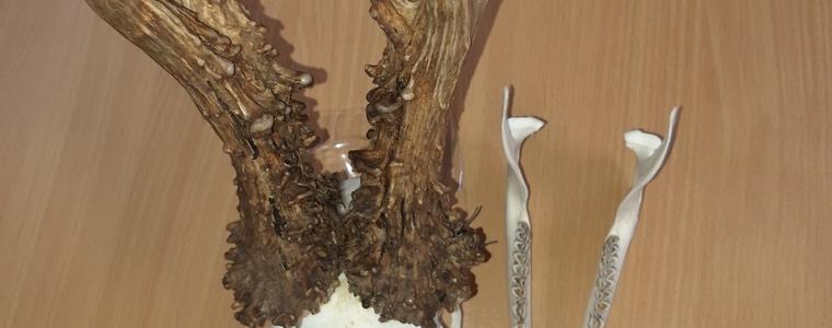 С четири трофея СИДП ще се представи на световното ловно изложение в Унгария