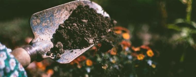 Тайните на красивата градина