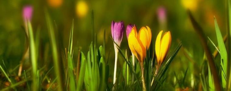 Времето на 28 март - неделя