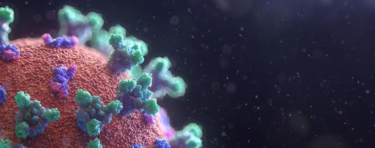 6 са новоустановените случаи на коронавирус в област Добрич