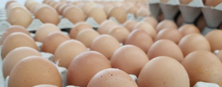 БАБХ започва засилени проверки във връзка с Великден и Гергьовден