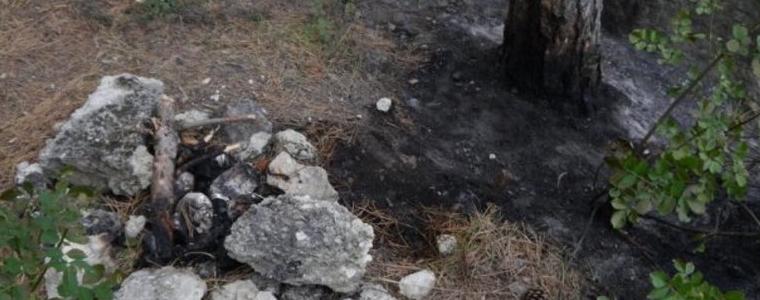 СИДП напомня за началото на пожароопасния сезон