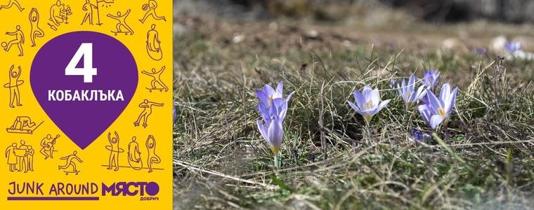 „Зеленият пламък“ с нова акция за почистване на района на Кобаклъка 