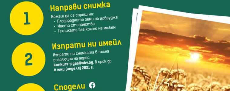 ПГАС-Добрич с конкурс за най-добра снимка на тема „Златна Добруджа - нашето богатство“