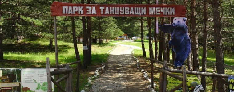 Жената, нападната от мечка, е в добро състояние