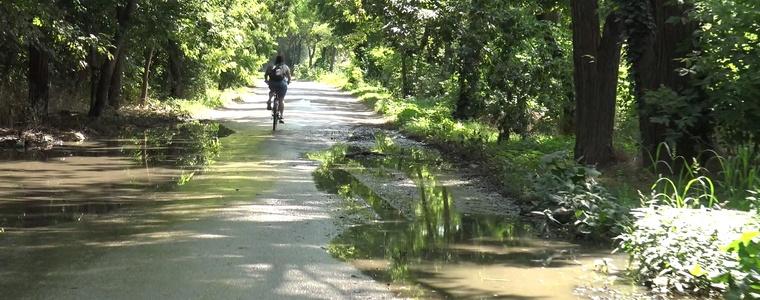 Огромна локва от фекални води в парка от месеци пречи на движението към с. Богдан (ВИДЕО)