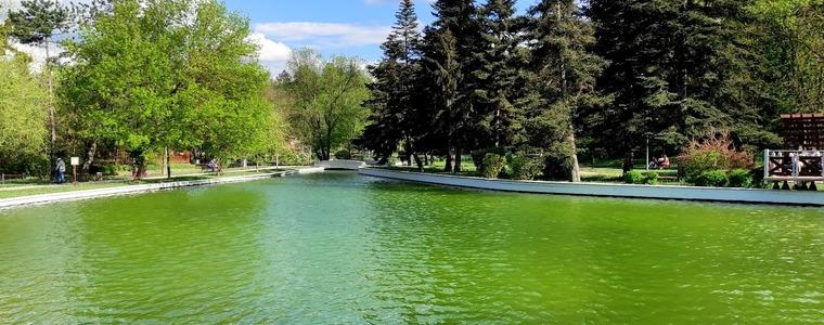 Продължава фотоконкурсът "Любими места в Добрич"