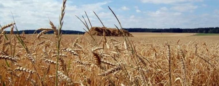 Прогноза за времето в неделя