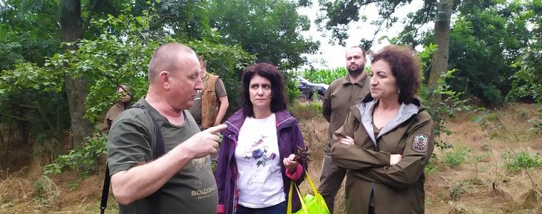 Специалисти: В Североизточна България е нужно залесяване с по-устойчиви видове