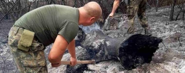 75 горски и граничари наблюдават дали пожарът от РСМ няма да прескочи у нас