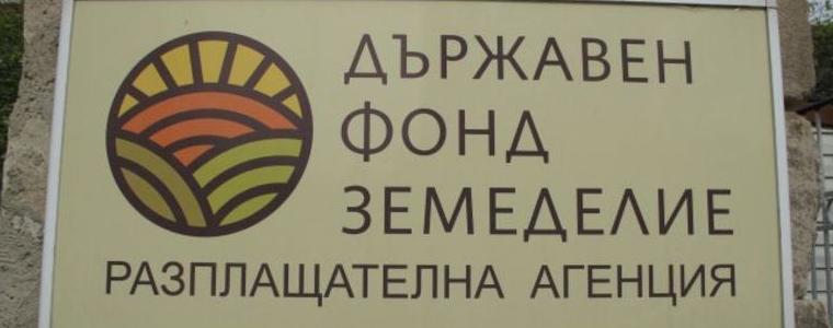 Изтича срокът за представяне на застрахователните полици в областните дирекции на ДФ "Земеделие"