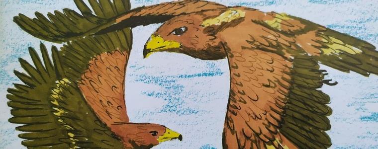 Конкурс за рисунка „Земите и горите на орела” - с фокус  върху опазването на малкия креслив орел