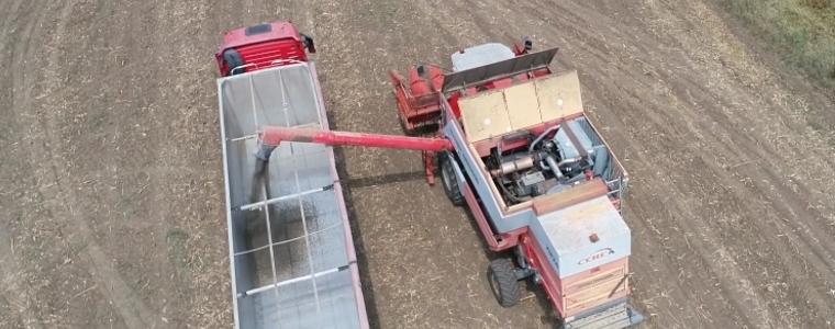В 5 общини в област Добрич жътвата на слънчоглед е приключила