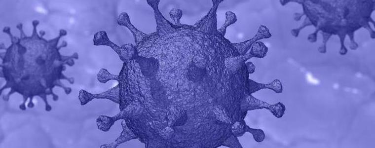  62 души от община Генерал Тошево са с коронавирусна инфекция 