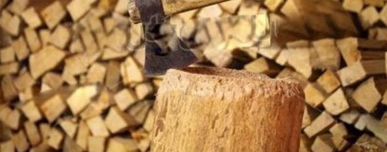 СИДП осигури дърва за огрев на 3 536 семейства в област Добрич