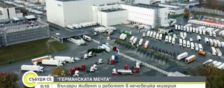 Българи и румънци са третирани като роби в кланица в Германия (ВИДЕО)