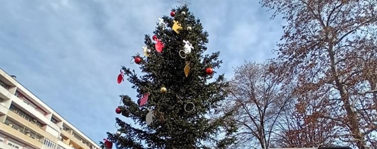 Днес ще светне коледната елха на Добрич