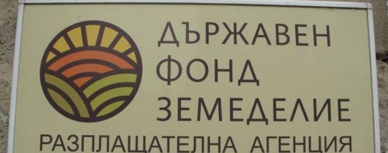 Тютюнопроизводителите могат да кандидатстват за помощ de minimis