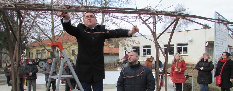 Кметът на Генерал Тошево заряза лозата и награди най-добрите винари
