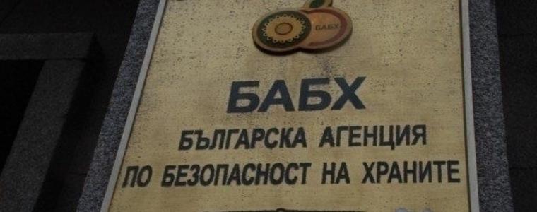 Огнище на птичи грип в частен обект в добричко село