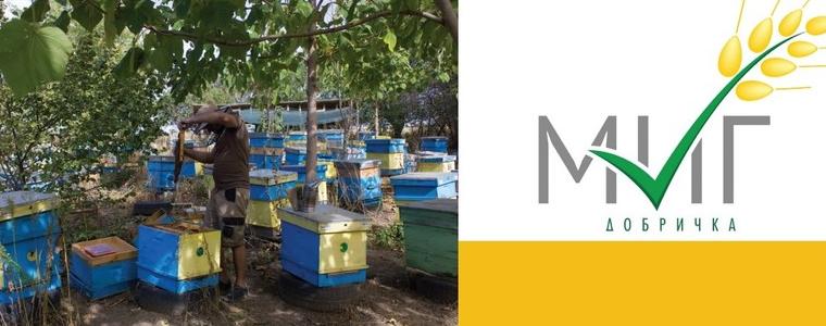 Пчелар от Добричко ще произвежда крем-мед по европроект