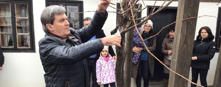 Празникът на виното в Каварна 