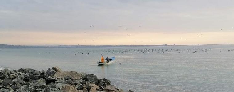ИАРА призовава рибарите за повишено внимание при дейност в Черно море
