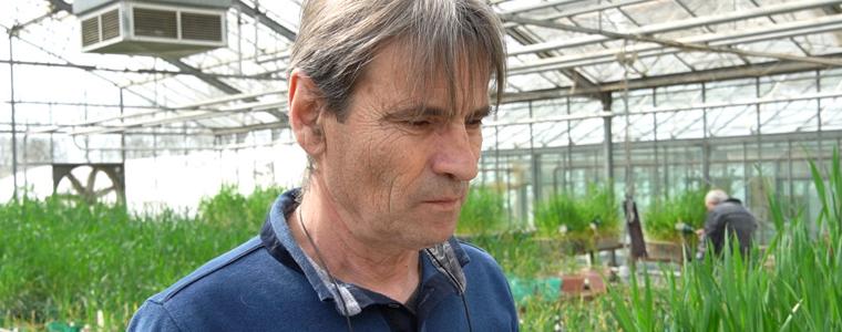 Проф.Иван Киряков:70% от есенниците са в добро, 20% в много добро състояние (ВИДЕО)
