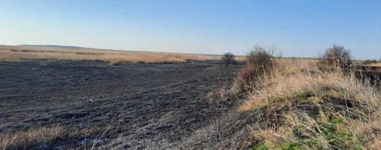 РИОСВ-Варна е уведомила прокуратурата за пожара в района на Дуранкулашкото езеро