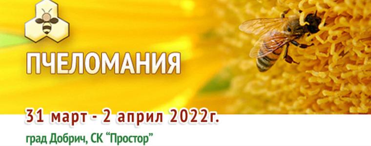 В Добрич започва изложението "Пчеломания"