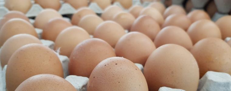 БАБХ извършва засилени проверки във връзка с Великден и Гергьовден
