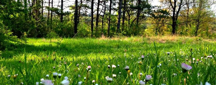 Прогноза за времето в неделя, 1 май