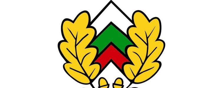 Институции обсъждат в Добрич спешни мерки за възстановяване на фитосанитарното състояние на горските пояси