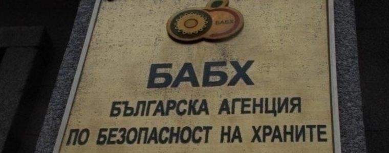 Обсъдиха нелегалното транспортиране на домашни любимци и нарушенията, извършвани от ветеринари