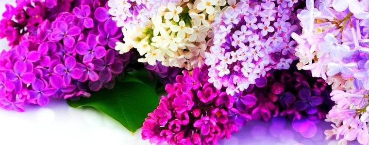 Прогноза за времето на 2 май