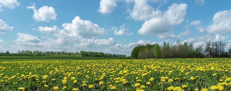 Прогноза за времето в сряда, 25 май
