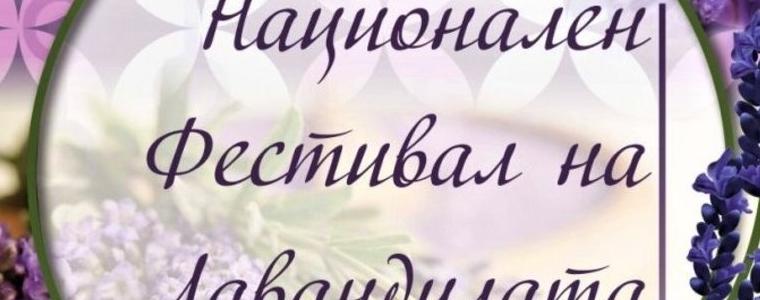 За осми път Национален фестивал на лавандулата в Генерал Тошево