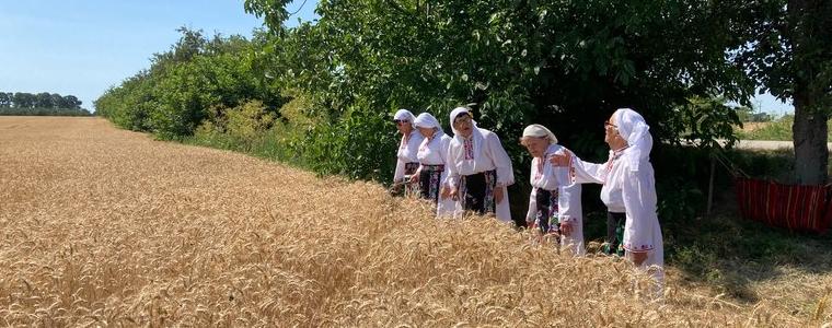 Официално стартира жътвата на пшеница край Дропла